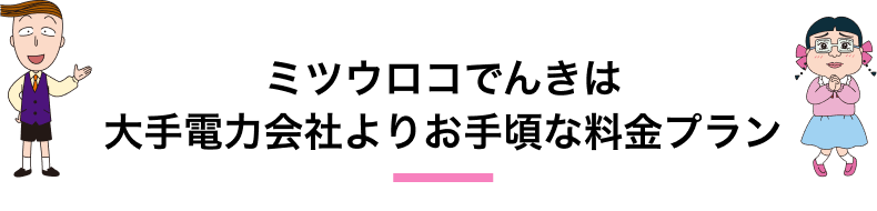 ミツウロコでんきは大手電力会社よりお手頃な料金プラン