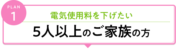 plan1 電気料金料を下げたい 5人以上のご家族の方